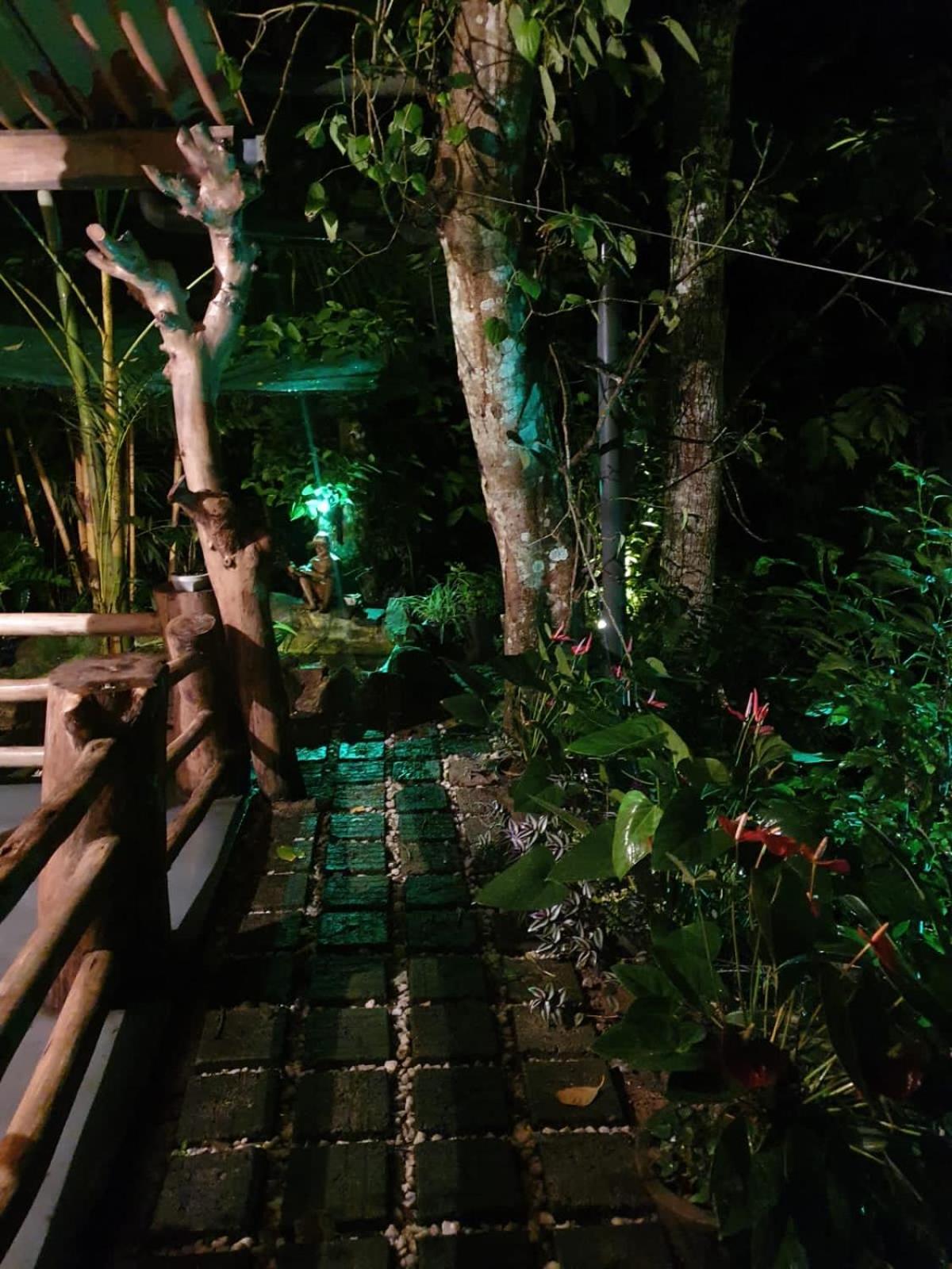 Treetops Ella Bagian luar foto