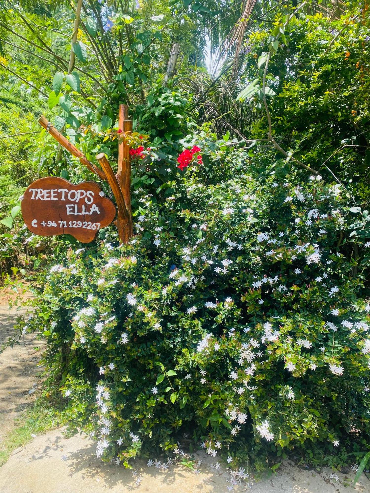 Treetops Ella Bagian luar foto