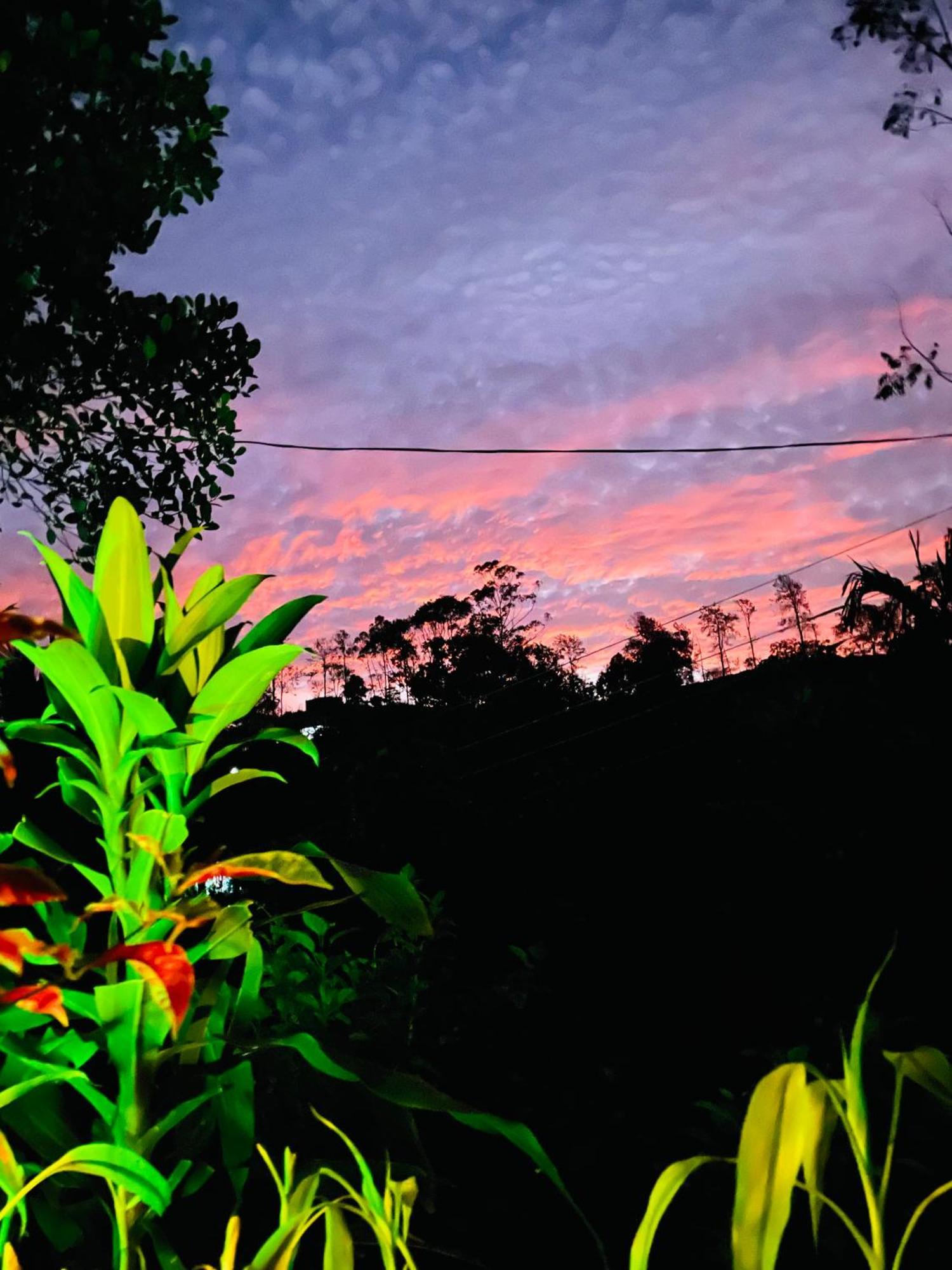Treetops Ella Bagian luar foto